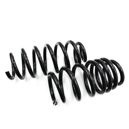 2017-22 Tesla Model 3 Racing Front Rear Lowering Springs Suspension kit US