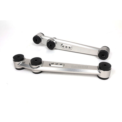 BLOX Racing 90-01 Integra, 89-95 Civic, CRX, Del Sol V2 Billet Rear LCA Poly Bushings - Raw BXSS-21203-RAW-V2
