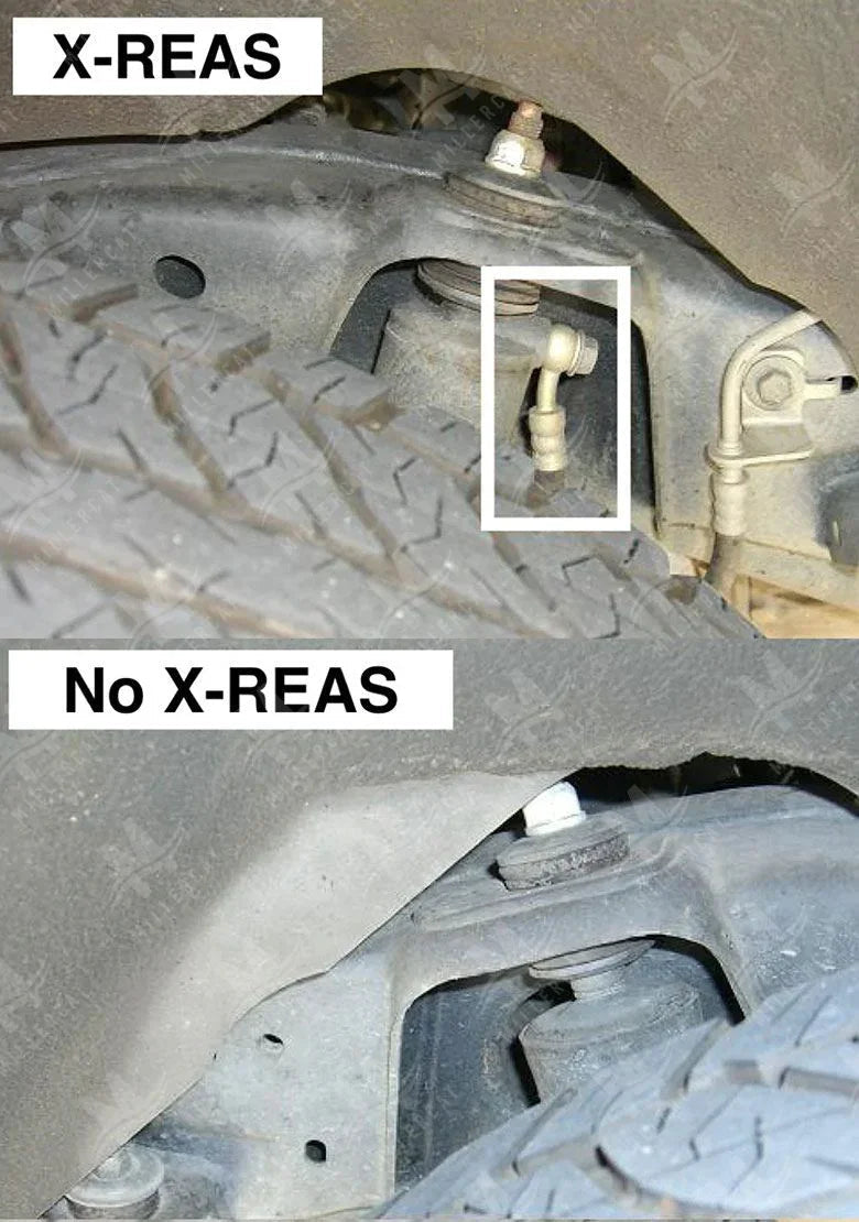 Toyota 4Runner 2014-2024 Cat Shield