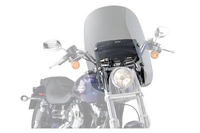 WINDSHIELD SPARTAN 19