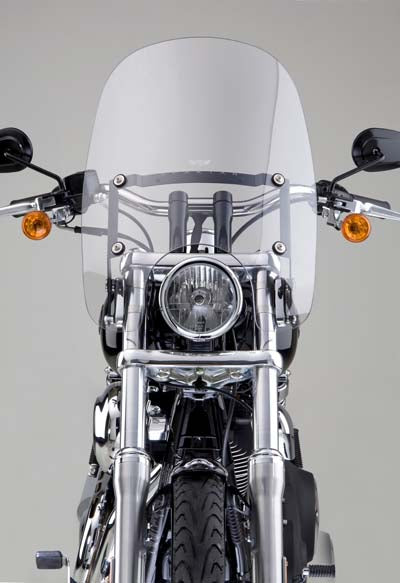 WINDSHIELD SPARTAN 19