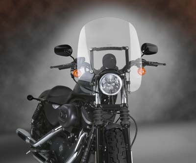 WINDSHIELD SPARTAN 19