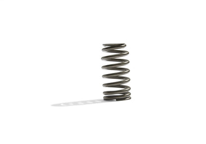 Ford Boss 302R Valve Spring Kit 2011-up 5.0L Engine FRDM6513-M50BR