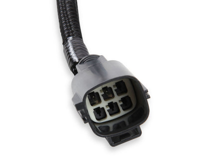 Holley EFI Gen III HEMI Vvt and Srv Harness