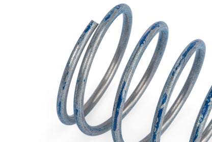 APR R1 DV Higher Pressure Spring