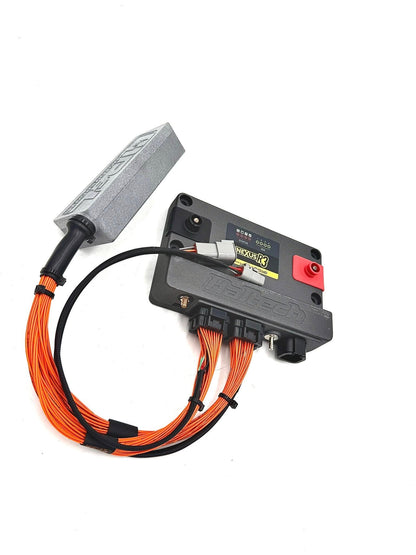 P&L Motorsports Plug & Play Adapters for Subaru Haltech Nexus