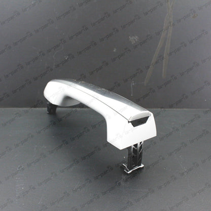 GENUINE LEXUS 2010-2015 GX460 TUNGSTEN PEARL 1G1 OUTER REAR DOOR HANDLE RH / LH