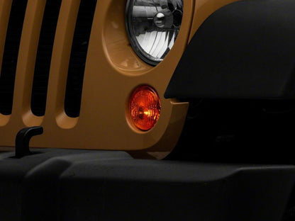 Photo - Close Up