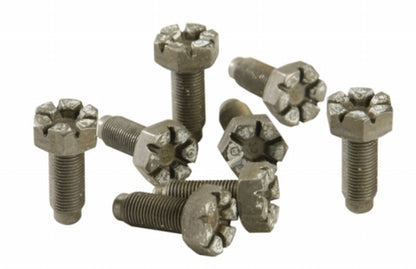 Ford Performance Parts 4.6L Manual Flywheel Bolts