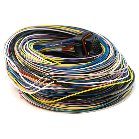 LINK ECU - B Loom Long (5LB)