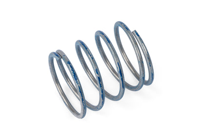 APR R1 DV Higher Pressure Spring