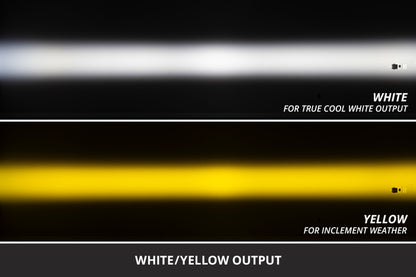 Diode Dynamics 17-20 Ford F-150 Raptor SS3 LED Fog Light Kit