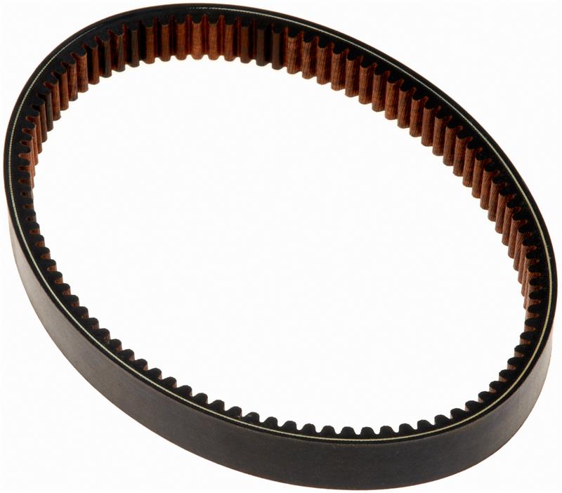 Photo - Primary