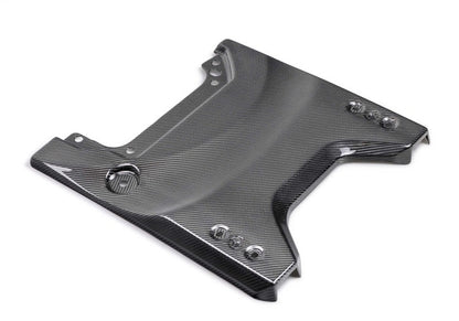 Ford Racing 22-24 Bronco Raptor Carbon Fiver Tailgate Applique - Gloss M-16600-BG