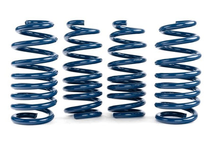 Dinan Performance Spring Set - 2020-2025 BMW X5M / X6M F95 / F96