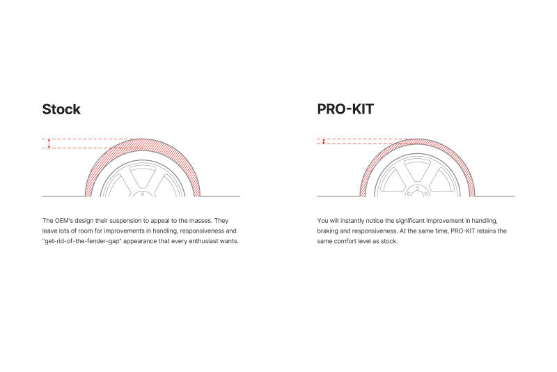 Eibach Pro-System Kit for 11-14 Chrysler 300C 2WD, V8 (Exc AWD, SRT-8 S/LEV)