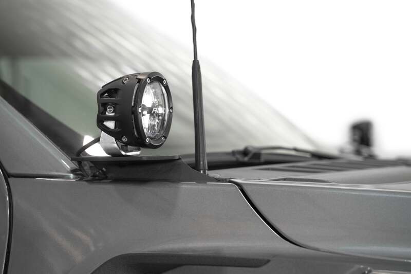 Photo - Close Up