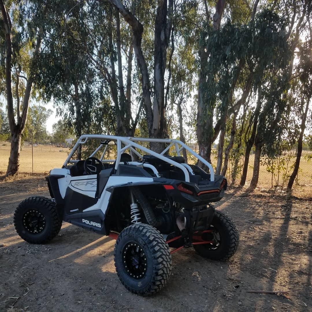 2014-2023 Polaris RZR 2DR Fastback Cage