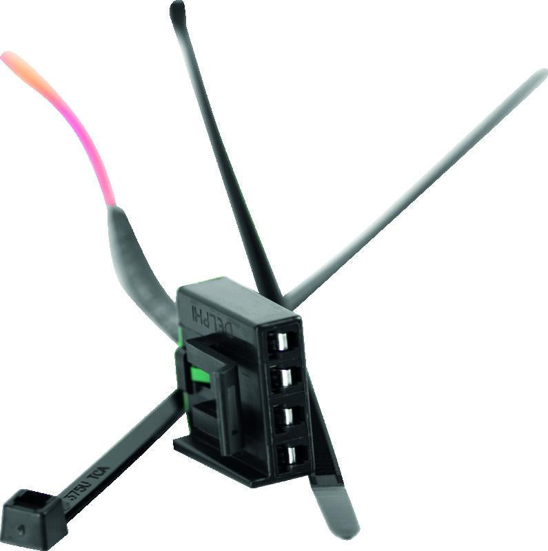 Photo - Primary
