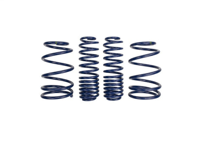 Ford Performance Parts Ford Racing 2007-2014 Mustang Shelby GT500 Springs