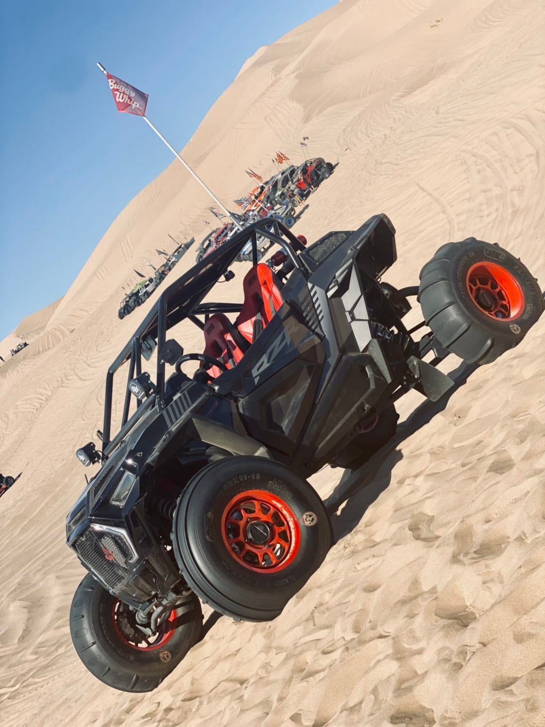 2014-2023 Polaris RZR 2DR Standard Radius Cage