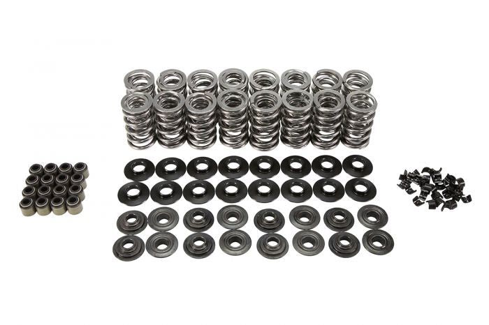 DUAL VALVE SPRING KIT