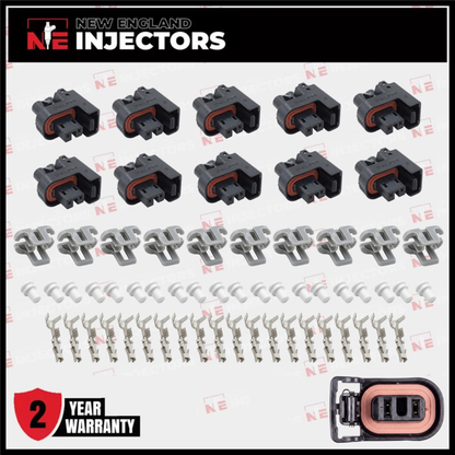 Delphi Fuel Injector Connector Kit Multec 2 Plug W Lock - Pins & Seals Set of 10