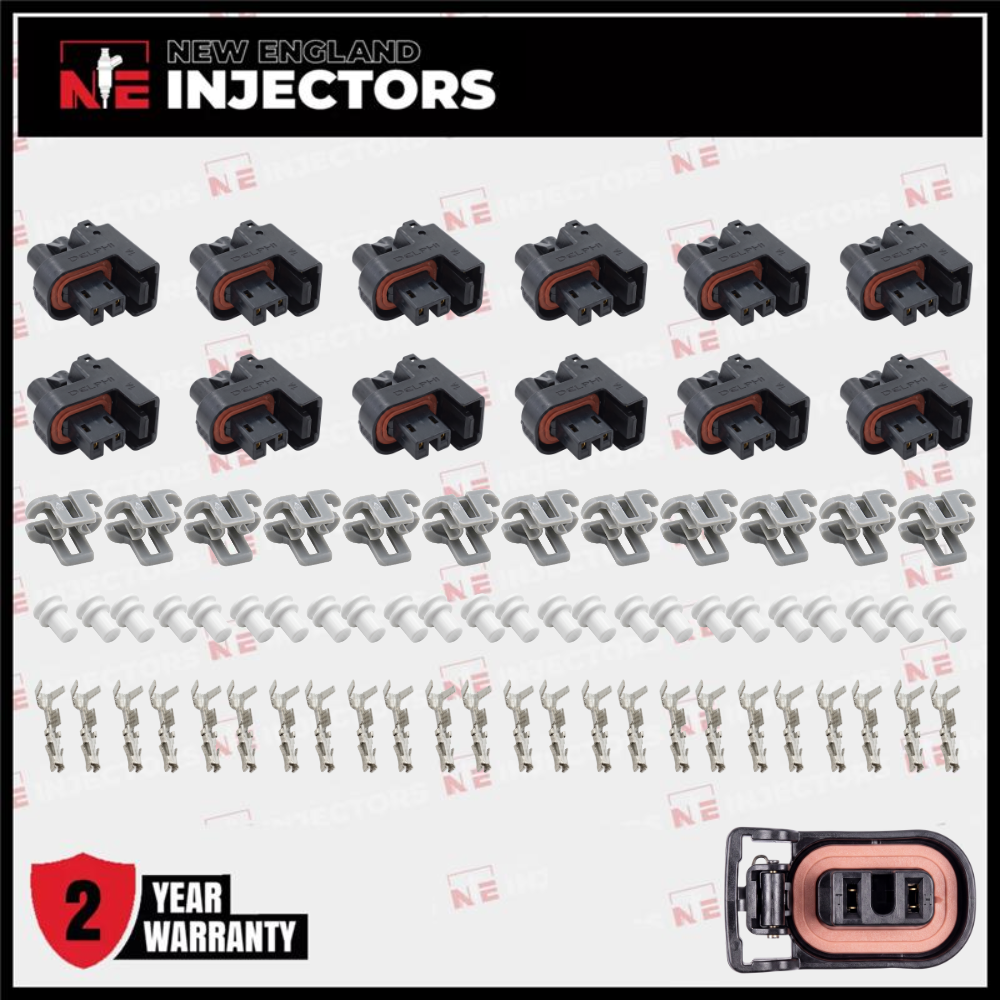 Delphi Fuel Injector Connector Kit Multec 2 Plug W Lock - Pins & Seals Set of 12