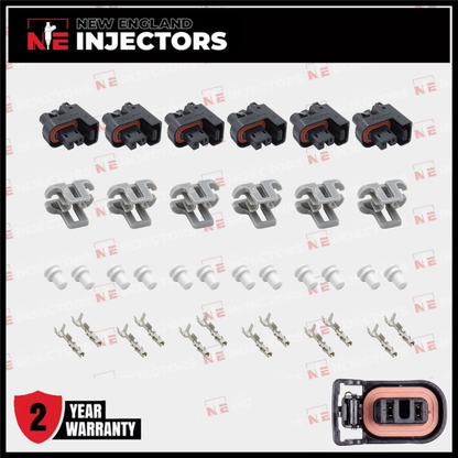 Delphi Fuel Injector Connector Kit Multec 2 Plug W Lock - Pins & Seals Set of 6