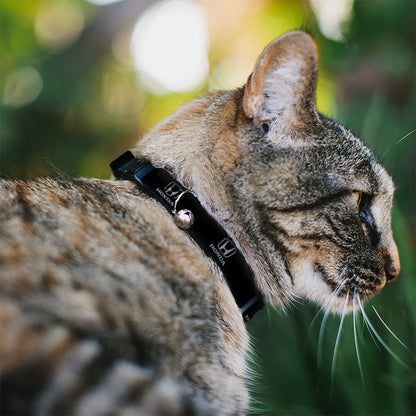 Breakaway Cat Collar with Bell - Honda Logo Black/Silver