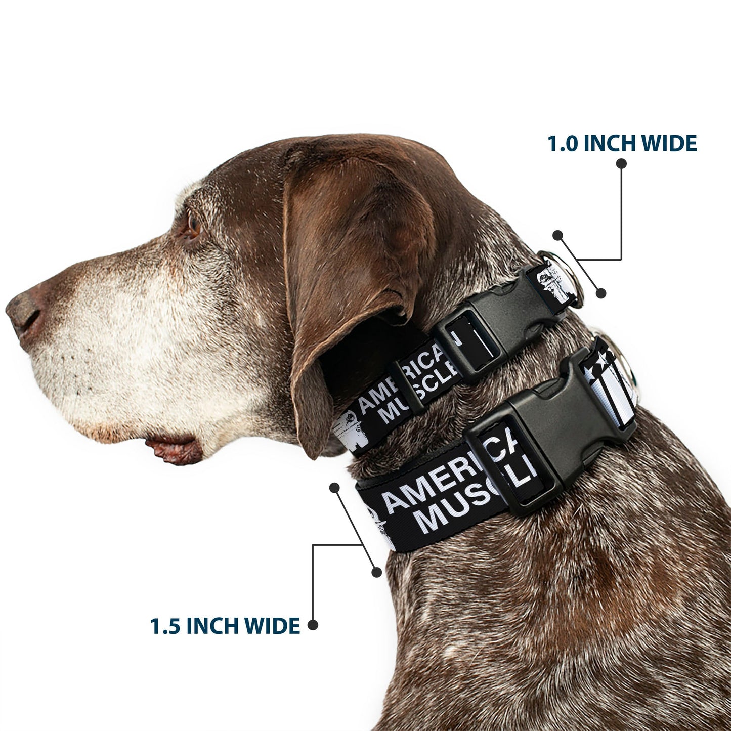 Plastic Clip Collar - Ford Mustang Grill AMERICAN MUSCLE Stars and Stripes Black/White