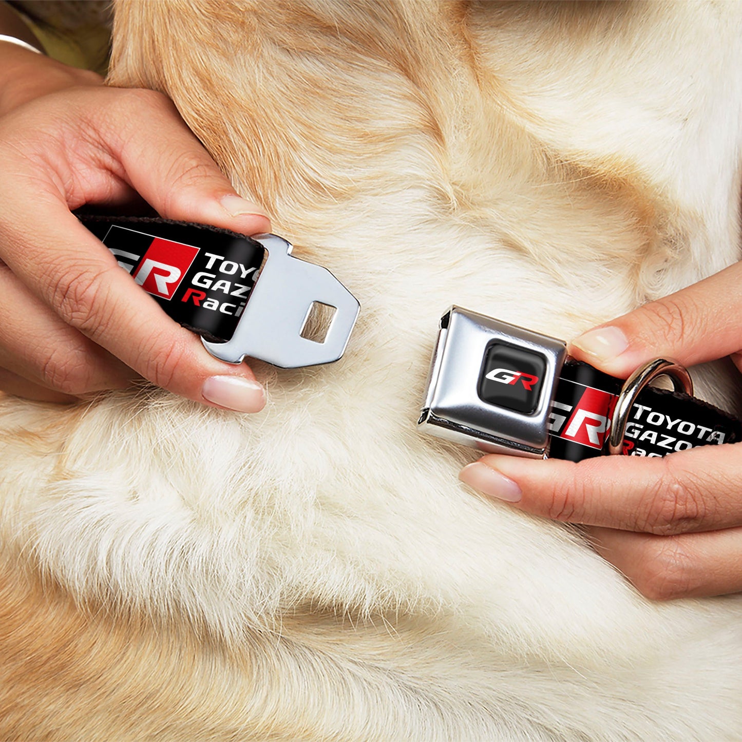 Toyota Gazoo Racing  GR Logo Full Color Black/White Red Seatbelt Buckle Collar - TOYOTA GAZOO RACING GR NORTH AMERICA Logo and Text Black/White/Red