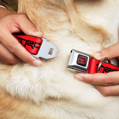 Toyota Logo Full Color Black/Red Seatbelt Buckle Collar - Toyota Racing Development TRD Logo Red/Black