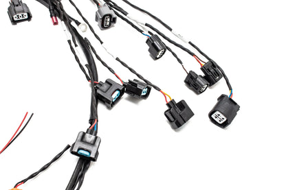 PREORDER Honda K-Series Plug & Play Street-Spec Engine Wiring Harness – Version 3