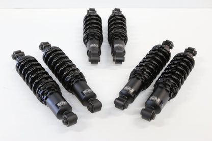 Ferrari Testarossa 84-96 Alpine Series Coilover