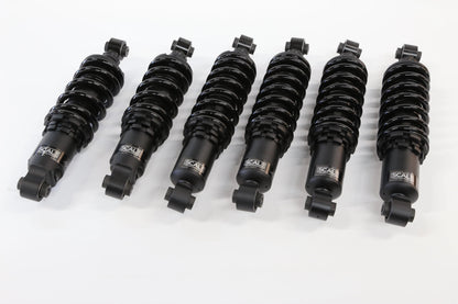 Ferrari Testarossa 84-96 Alpine Series Coilover
