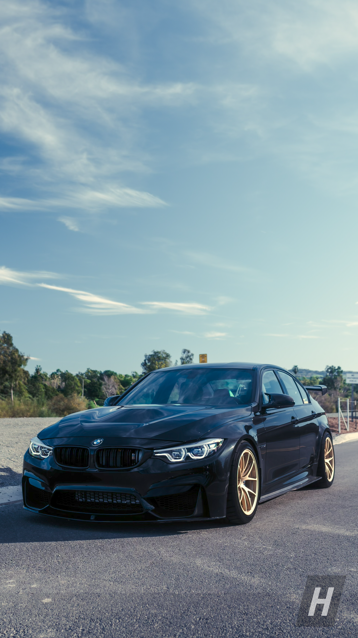PSM Style Carbon Fiber Side Skirts - F80 M3