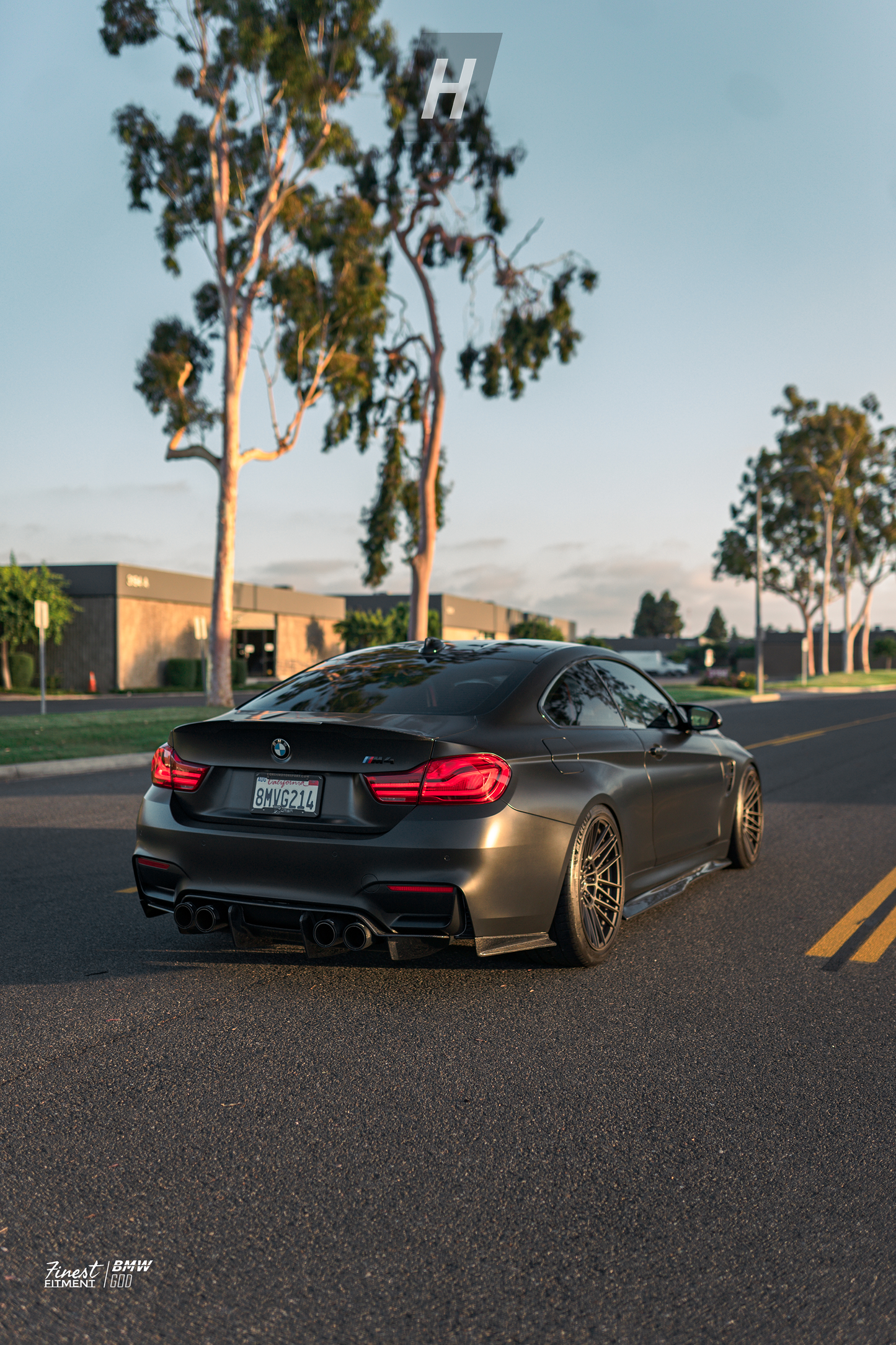 PSM Style Carbon Fiber Side Skirts - F82 / F83 M4