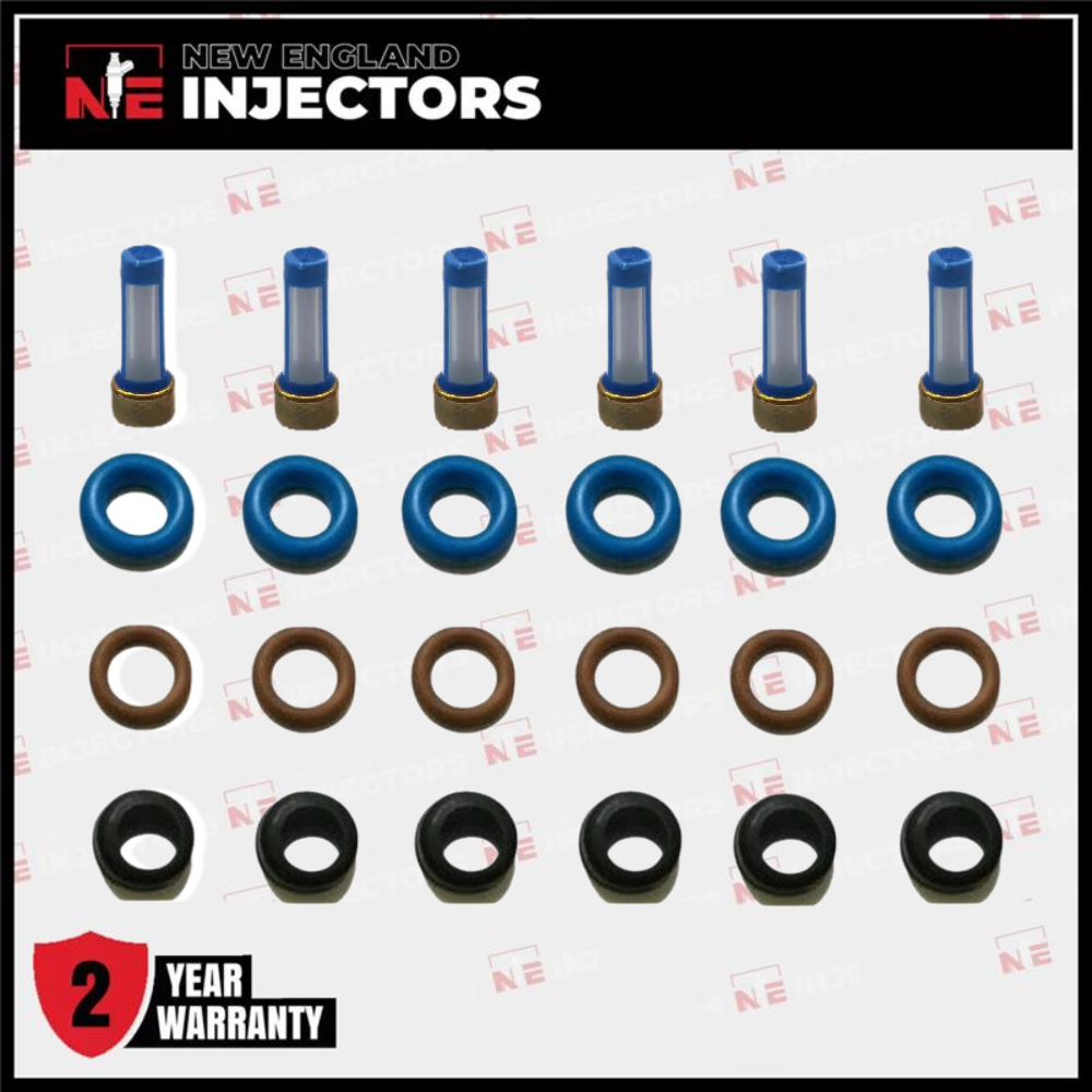 Fuel Injector Rebuild Kit O-rings Filters Pintle V6 Chevy GMC Isuzu Delphi