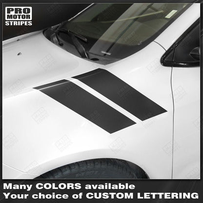 Dodge Dart 2013-2018 Fender Hash Side Stripes Accent Decals