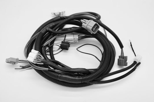 Hasport K-Series Conversion Harness – 99-00 Civic