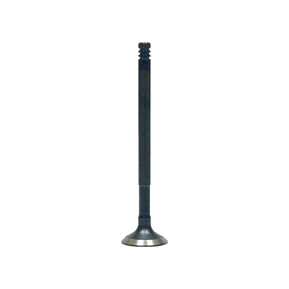 Exhaust Valve 2012-2017 Dodge,Fiat 1.4L