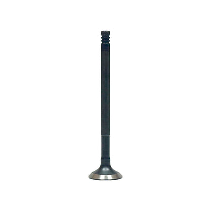Exhaust Valve 2012-2017 Dodge,Fiat 1.4L