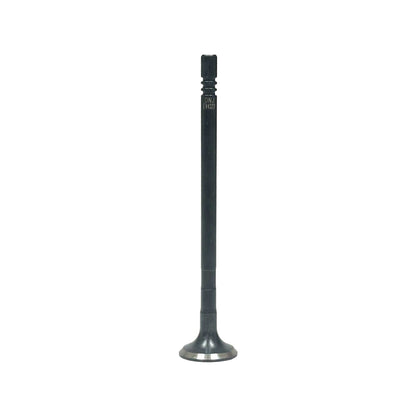 Exhaust Valve 2015-2017 Ford 3.2L