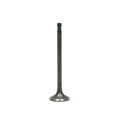 Exhaust Valve 2013-2015 Audi,Volkswagen 3.0L-4.0L