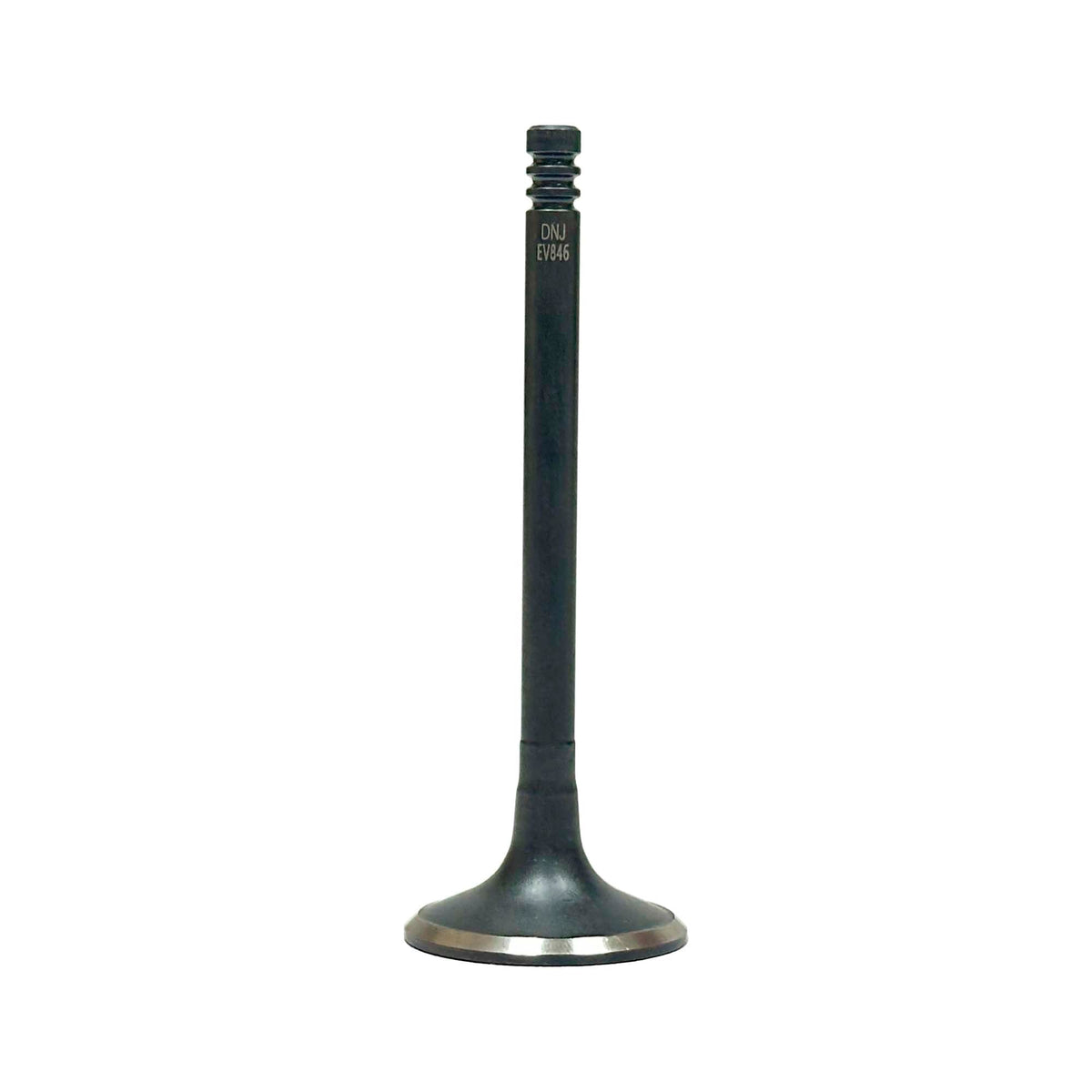 Exhaust Valve 1987-1993 BMW 2.5L