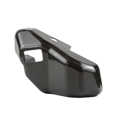 RPM Kawasaki H2 Carbon Fiber Coolant Reservoir Cover