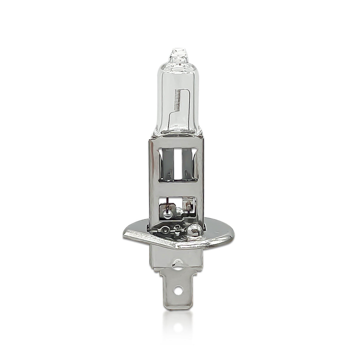 DAMA H1 31093OS OEM Standard Plus Halogen Bulbs 12V 55W | Pack of 10