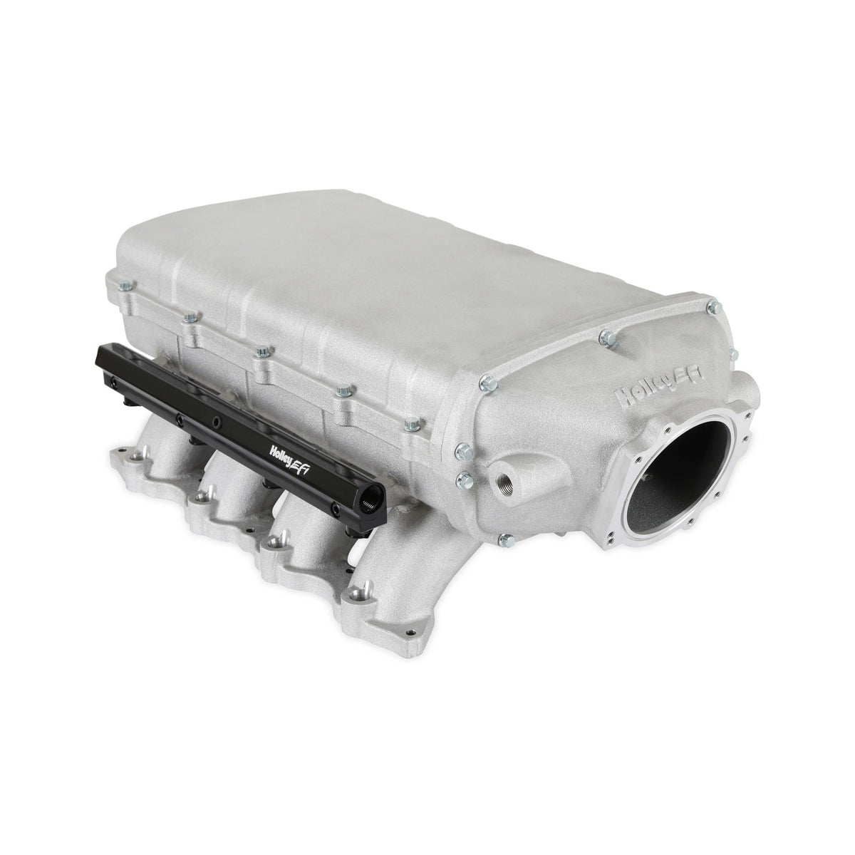 EFI INTAKE MANIFOLDS