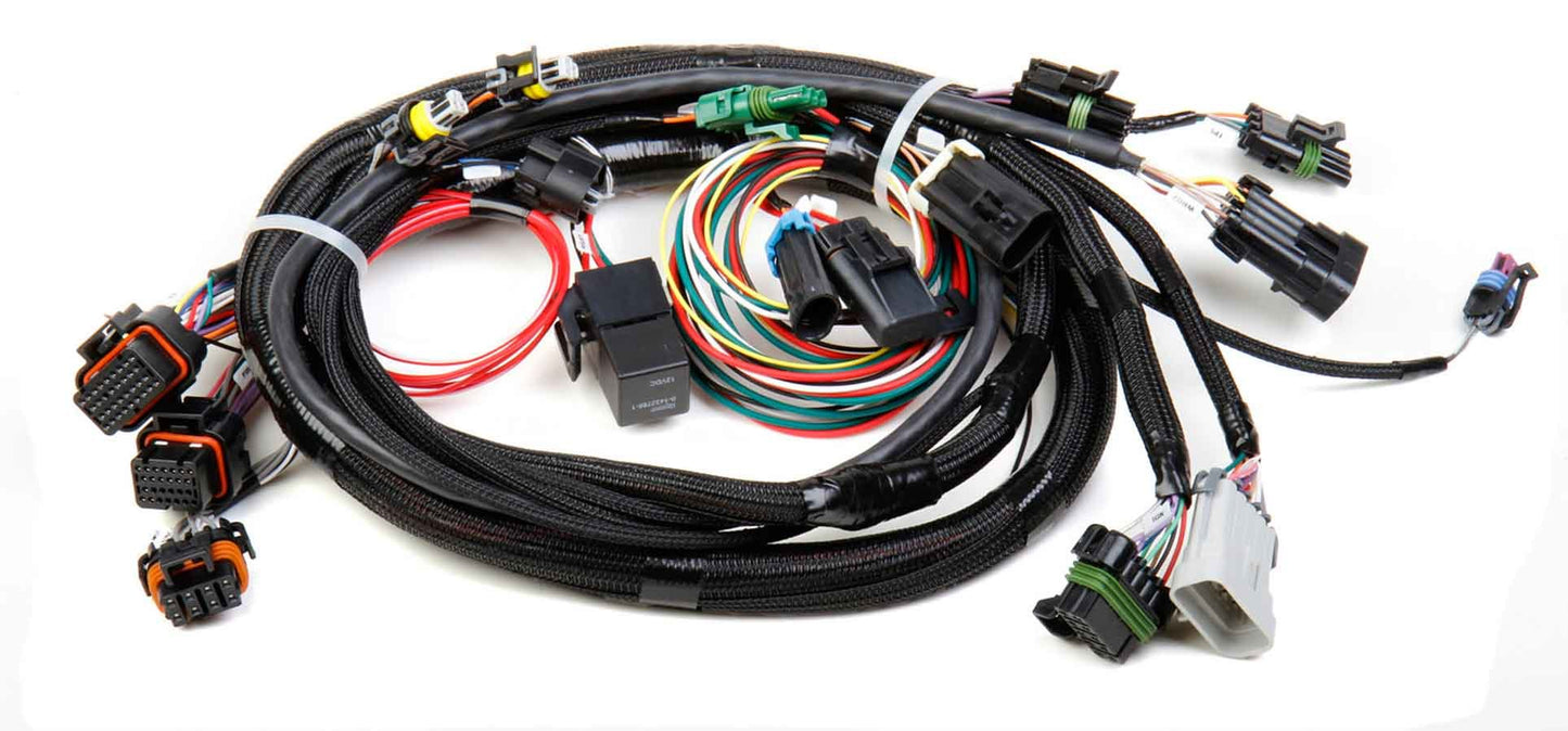 FUEL INJECTION WIRE HARNESS